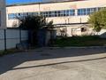 Свободное назначение, магазины и бутики · 150 м² за 150 млн ₸ в Павлодаре — фото 2