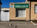 Свободное назначение, магазины и бутики · 150 м² за 150 млн ₸ в Павлодаре — фото 7