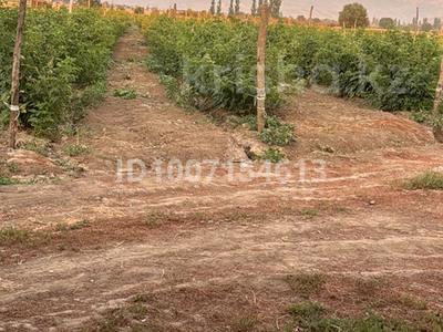 Участок · 1 га, Красный восток — Красный восток за 15 млн 〒 в Есик