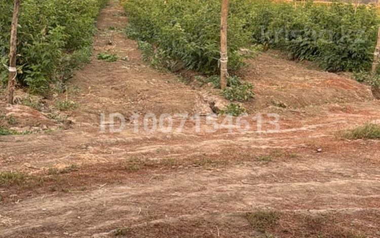 Участок · 1 га, Красный восток — Красный восток за 15 млн 〒 в Есик — фото 2