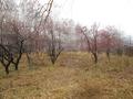 Участок · 9 соток, Мкр Энергетиков за 4 млн ₸ в Щучинске — фото 2