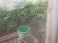 Дача · 4 комнаты · 40 м² · 6 сот., Зерендийские дачи — Зерендийские дачи за 3 млн ₸ в Кокшетау — фото 15