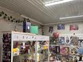 Бизнес. Магазин подростковых товаров, 17 м² за 5 млн 〒 в Шиели — фото 5