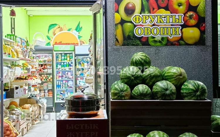 Продуктовый магазин · 52 м² за 9 млн ₸ в Астане, Алматы р-н — фото 14