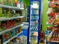 Продуктовый магазин · 52 м² за 9 млн ₸ в Астане, Алматы р-н — фото 3