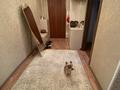 2-комнатная квартира · 46 м² · 1/6 этаж, 5в мкр 6 за 12 млн ₸ в Житикаре — фото 11