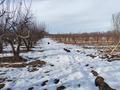 Жер телімі · 160 сотық, Амрина — До конца Амрины, налево и железная ворота, бағасы: 37 млн ₸ в Каракемер — фото 18