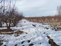 Жер телімі · 160 сотық, Амрина — До конца Амрины, налево и железная ворота, бағасы: 37 млн ₸ в Каракемер — фото 19