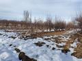Жер телімі · 160 сотық, Амрина — До конца Амрины, налево и железная ворота, бағасы: 37 млн ₸ в Каракемер — фото 20