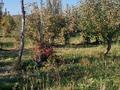 Жер телімі · 160 сотық, Амрина — До конца Амрины, налево и железная ворота, бағасы: 37 млн ₸ в Каракемер — фото 5