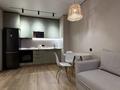 1-бөлмелі пәтер · 32 м² · 8 қабат, Райымбека 210, бағасы: 300 000 ₸ в Алматы, Алмалинский р-н — фото 13