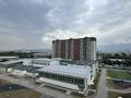 1-бөлмелі пәтер · 32 м² · 8 қабат, Райымбека 210, бағасы: 300 000 ₸ в Алматы, Алмалинский р-н — фото 39