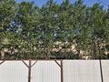 Жеке үй · 4 бөлме · 110 м² · 10 сот., мкр Карасу 16 — Койтас 16, бағасы: 113 млн ₸ в Алматы, Алатауский р-н — фото 3