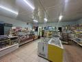 Магазины и бутики · 118.2 м² за 40 млн ₸ в Семее — фото 3