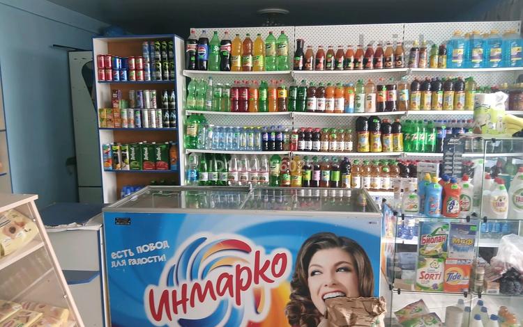 Магазины и бутики · 90 м² за 32 млн ₸ в Новонежинка — фото 4