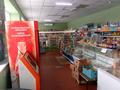 Магазины и бутики • 261 м² за 18.5 млн 〒 в Явленке — фото 5