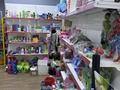 Готовый продуктовый магазин · 180 м², бағасы: 15 млн ₸ в Астане, Нура р-н — фото 8