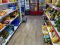 Готовый продуктовый магазин · 180 м², бағасы: 15 млн ₸ в Астане, Нура р-н — фото 3