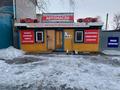 Готовый магазин Автомасла, 17.5 м² за 2.2 млн 〒 в Павлодаре — фото 3
