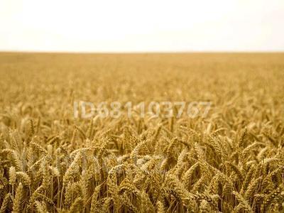 Сельское хозяйство • 4963 м² за 150 млн 〒 в 