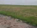 Участок · 8 соток, мкр Бозарык за 5 млн ₸ в Шымкенте, Абайский р-н