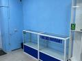 Магазины и бутики · 42.6 м² за 49 млн ₸ в Усть-Каменогорске — фото 7