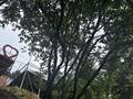 Участок 6,9 соток с готовым бизнесом — глэмпинг и террасы! · 100 м², бағасы: 38.5 млн ₸ в Алматы, Бостандыкский р-н — фото 17