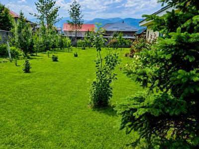 Жер телімі · 10 га, Болашак 28, бағасы: 33 млн ₸ в 