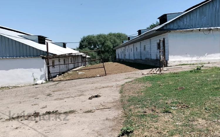 Еркін, ауыл шаруашылығы · 300 м², бағасы: 150 млн ₸ в Есик — фото 2