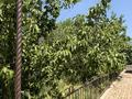Отдельный дом · 7 комнат · 250 м² · 10 сот., Кажыгали муханьеткалиулы 1а за 80 млн ₸ в Актобе, жилой массив Жанаконыс — фото 6