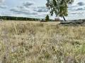 Участок · 20 соток, Ибрая 19 — Окжетпес за 25.5 млн ₸ в Бурабае