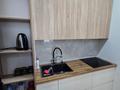 2-комнатная квартира · 48 м² · 11/12 этаж, К. Толеметова за 36 млн ₸ в Шымкенте — фото 9