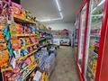 Магазины и бутики, склады · 290 м² за 140 млн ₸ в Талдыкоргане, мкр Достык — фото 2