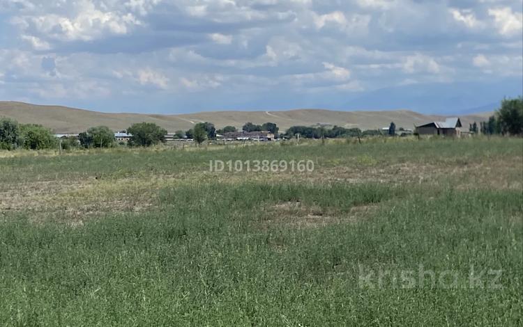 Участок · 11 га, п. Шиен за 15.5 млн ₸ в Узынагаш — фото 2