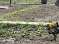 Участок · 16 соток, мкр Трудовик, Карла Маркса 44 за 150 млн ₸ в Алматы, Алатауский р-н — фото 9
