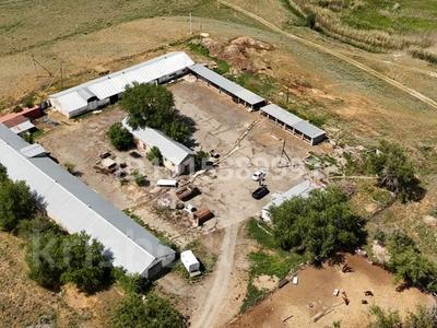 Промбаза / фазенда 75 соток — 1500 м² складов · 1500 м², бағасы: 55 млн ₸ в Талдыкоргане