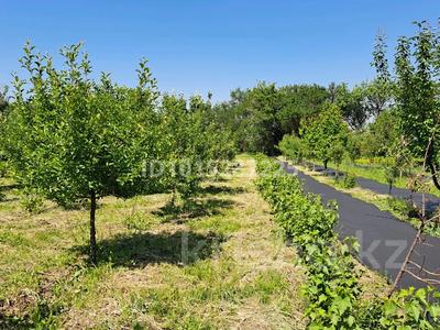 Жеке үй · 5 бөлме · 150 м² · 150 жүзд., Береке 577, бағасы: 300 млн ₸ в Долане