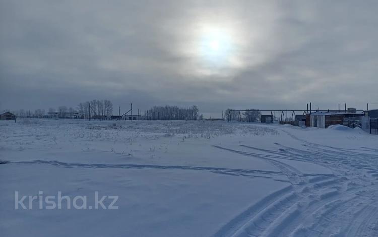 Участок · 40 соток, Село Акжар за 4 млн ₸ в Акмолинской обл. — фото 2