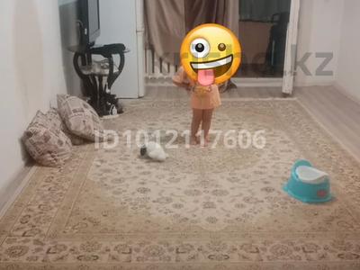 2-комнатная квартира · 50 м² · 4/5 этаж, Мкр. Томирис за 160 000 ₸ в Алматинской обл.