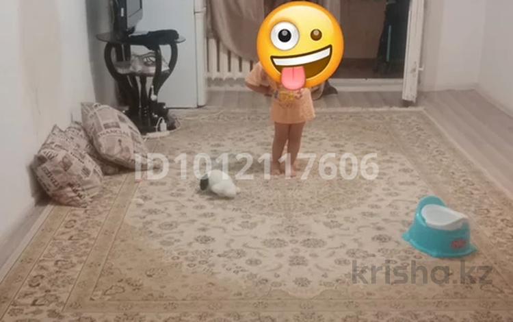 2-комнатная квартира · 50 м² · 4/5 этаж, Мкр. Томирис за 160 000 ₸ в Алматинской обл. — фото 2