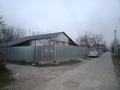 Дача · 3 комнаты · 85 м² · 9 сот., Васильки 24 — Кайнар булак дачи за 28 млн ₸ в Шымкенте, Каратауский р-н — фото 15