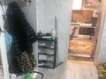 Отдельный дом · 3 комнаты · 53.3 м² · 6.3 сот., Набережная 33 — 2 район за 12 млн ₸ в Риддере — фото 3