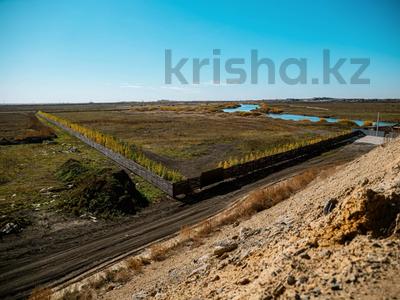 Участок · 90.46 соток, Косшы за 90 млн 〒