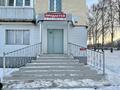 Магазины и бутики · 120 м² за 55 млн 〒 в Алтае — фото 7