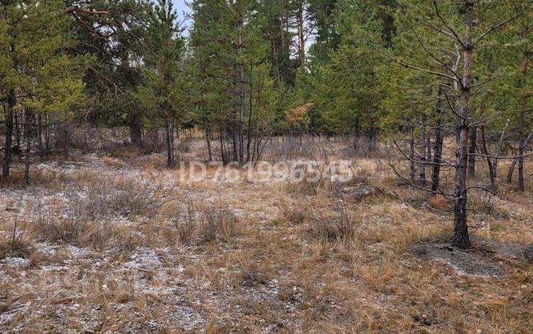 Участок · 12.7 га, Акколь за 24 млн 〒 — фото 2