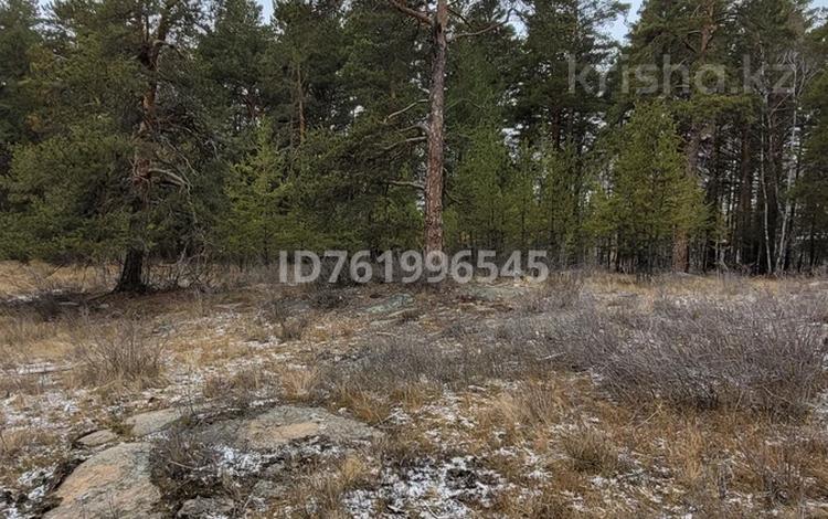 Жер телімі · 12.7 га, Ақкөл, бағасы: 24 млн ₸ в Акколе — фото 3