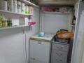 Отдельный дом · 5 комнат · 180 м² · 4 сот., мкр Карагайлы 1280 — Мечеть за 1.1 млн ₸ в Алматы, Наурызбайский р-н — фото 30
