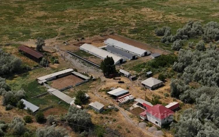 Жер телімі · 30 га, Куш, бағасы: 650 млн ₸ — фото 2