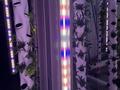 Свободное назначение, склады · 100 м² за 400 000 ₸ в Астане, Сарыарка р-н — фото 5