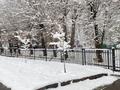 Еркін · 4711 м², бағасы: ~ 3.5 млрд ₸ в Алматы, Медеуский р-н — фото 12